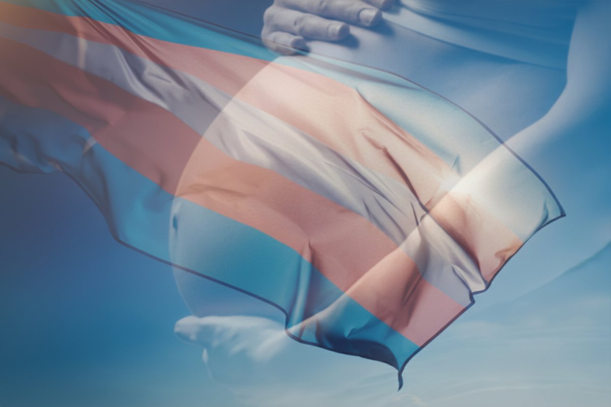Reprodução para Pessoas Trans em SP