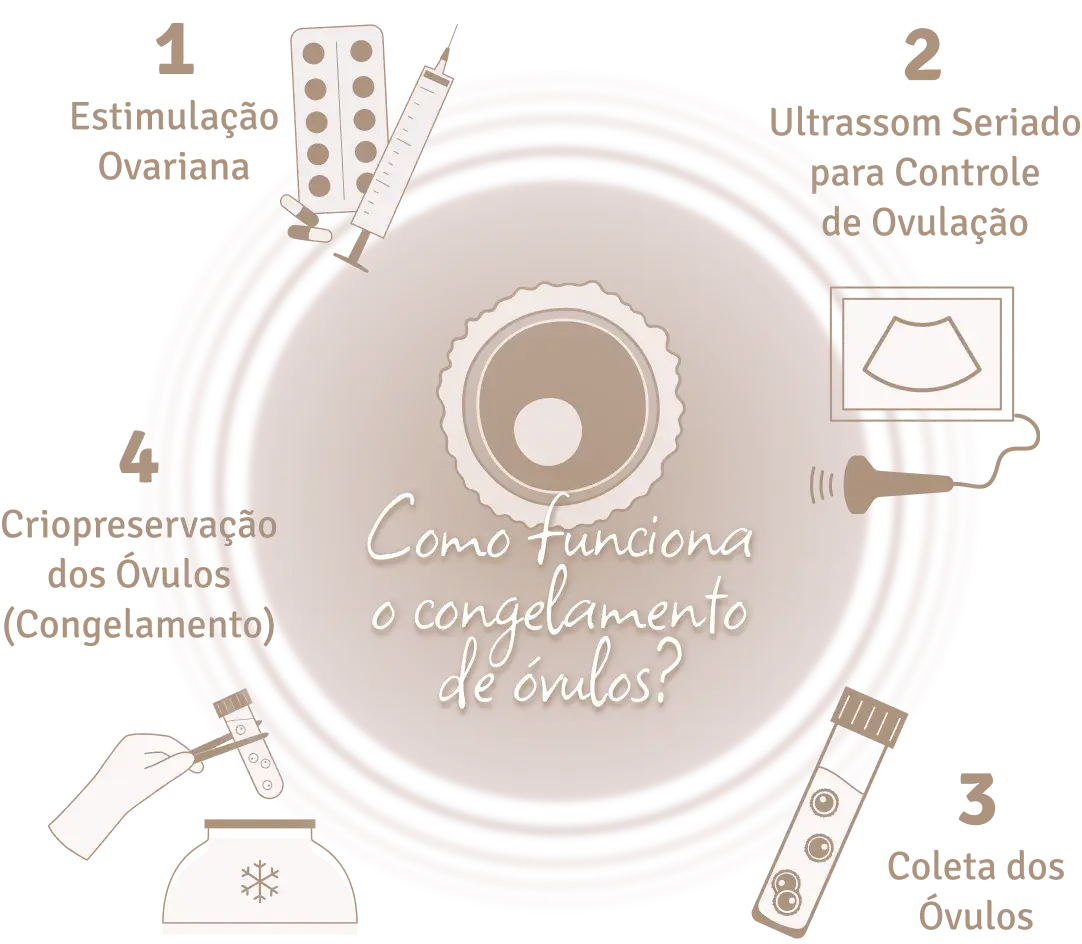 Infográfico sobre Congelamento de Óvulos